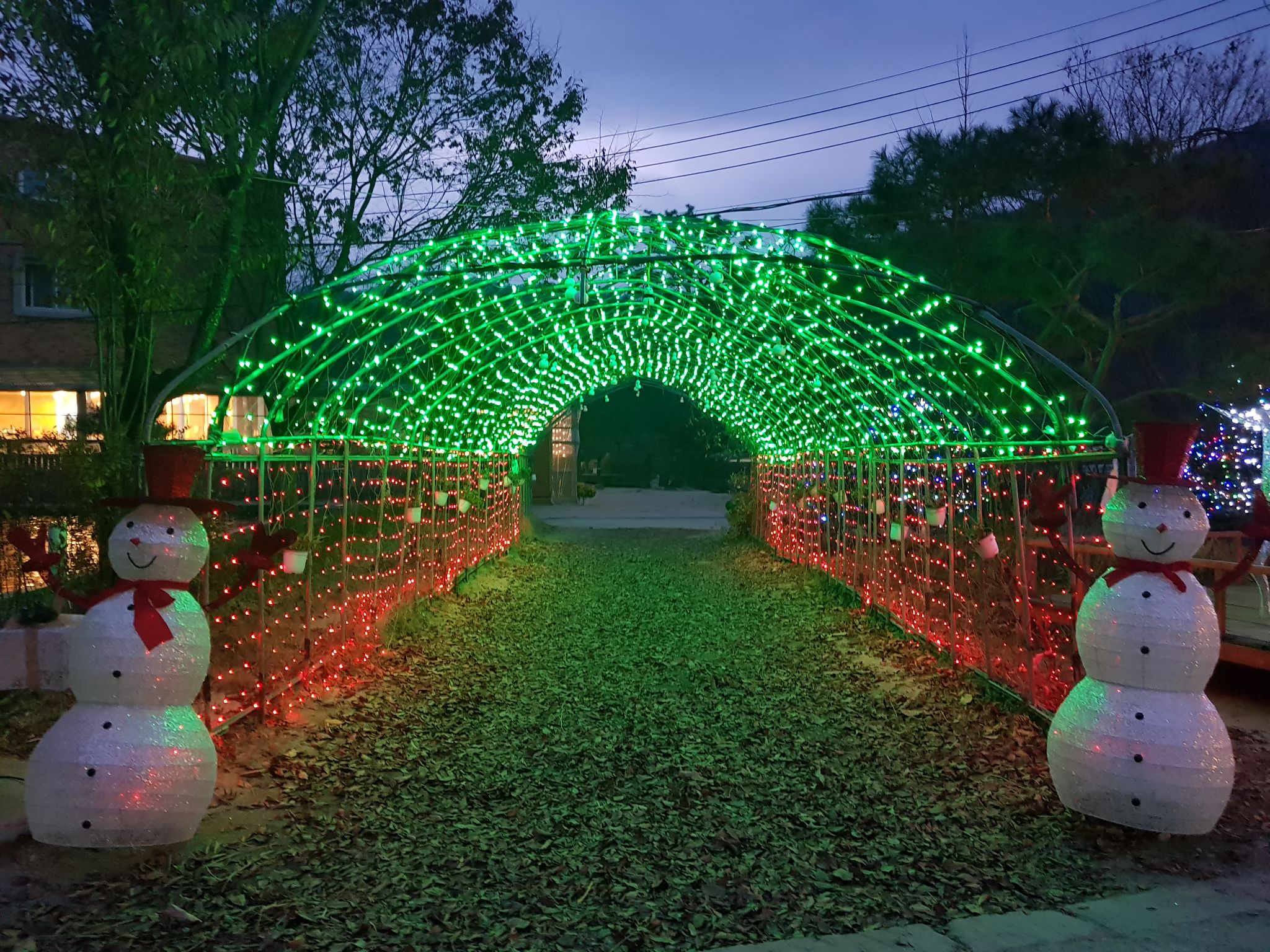 은은한 빛축제 08